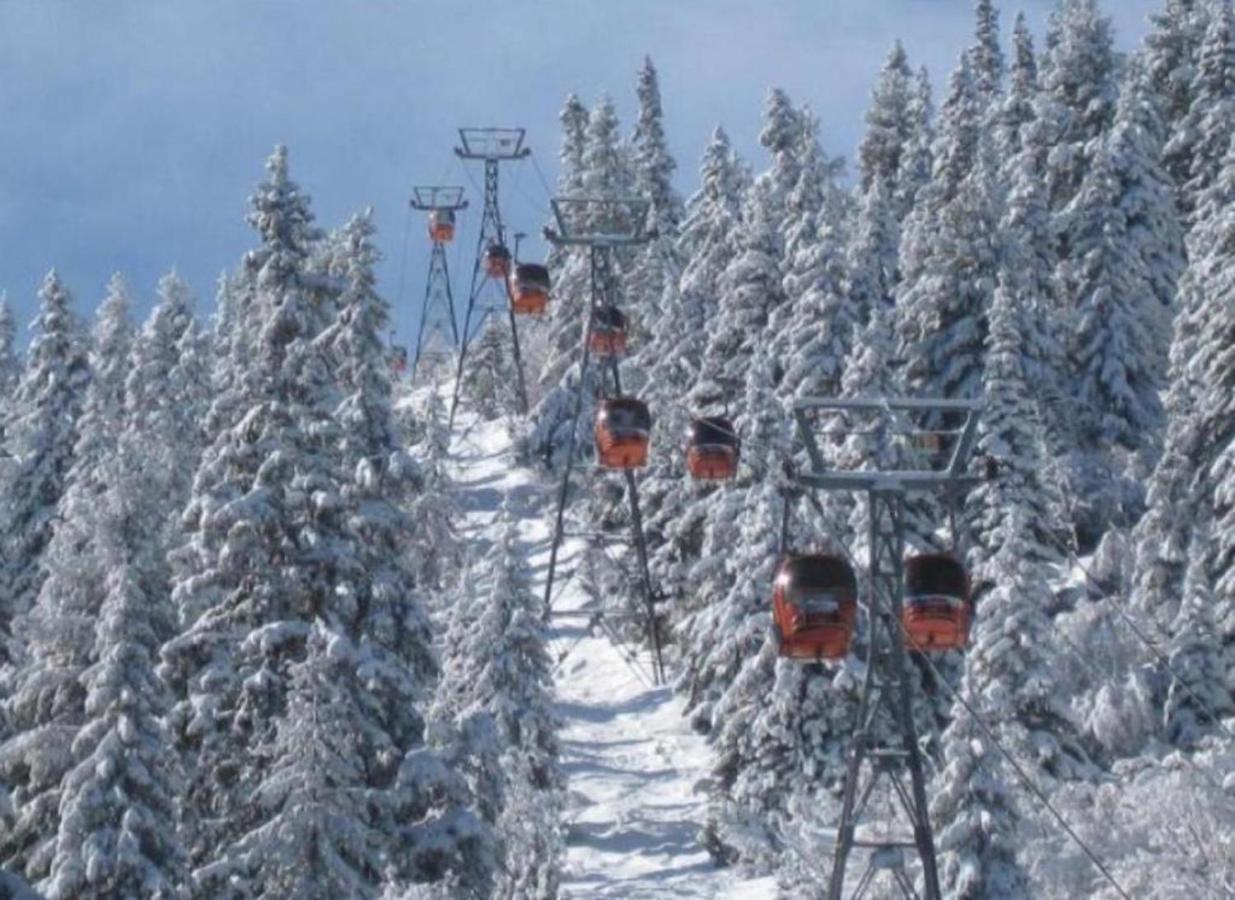 Borovets Gardens Apartment A27 Dış mekan fotoğraf
